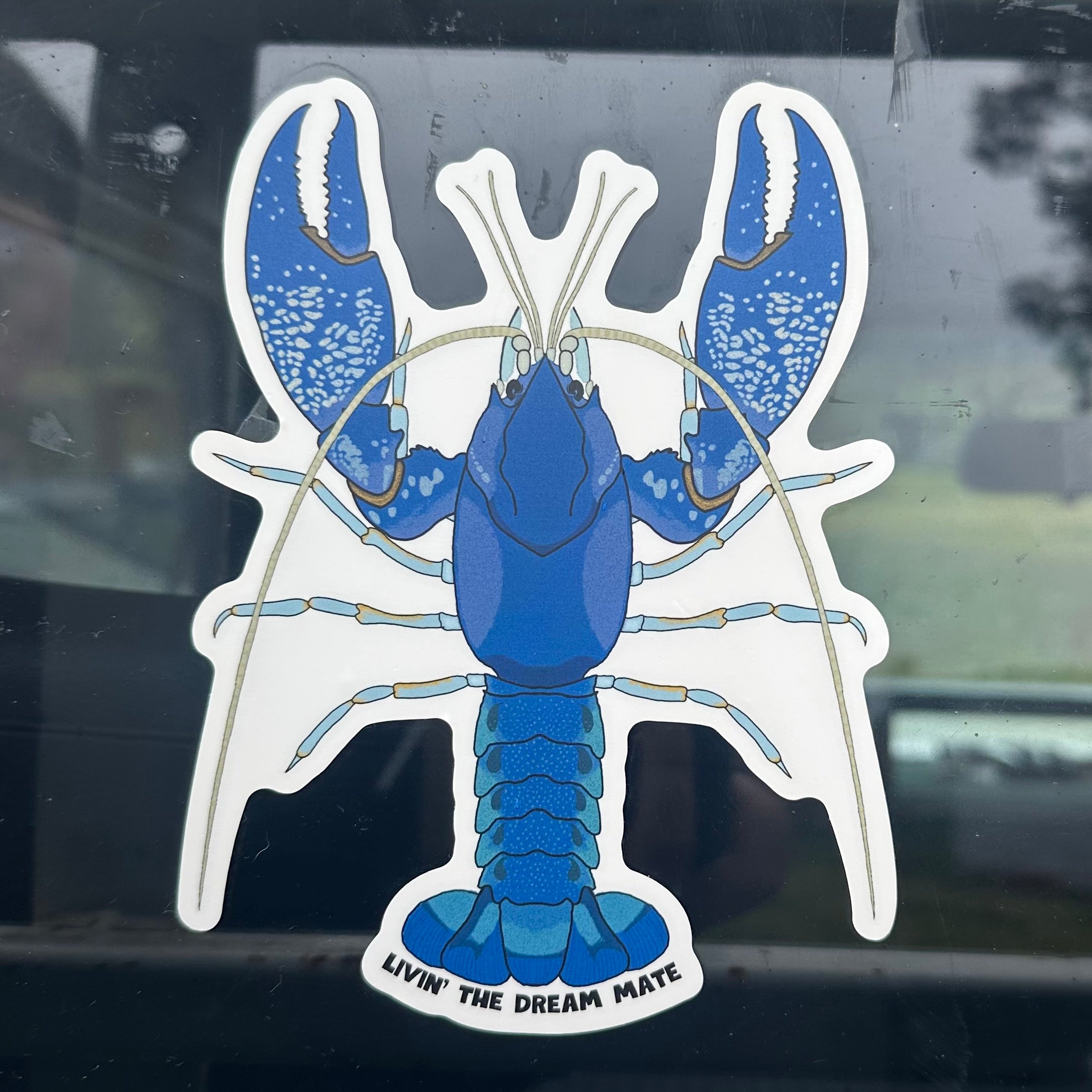 MUDBUG Sticker