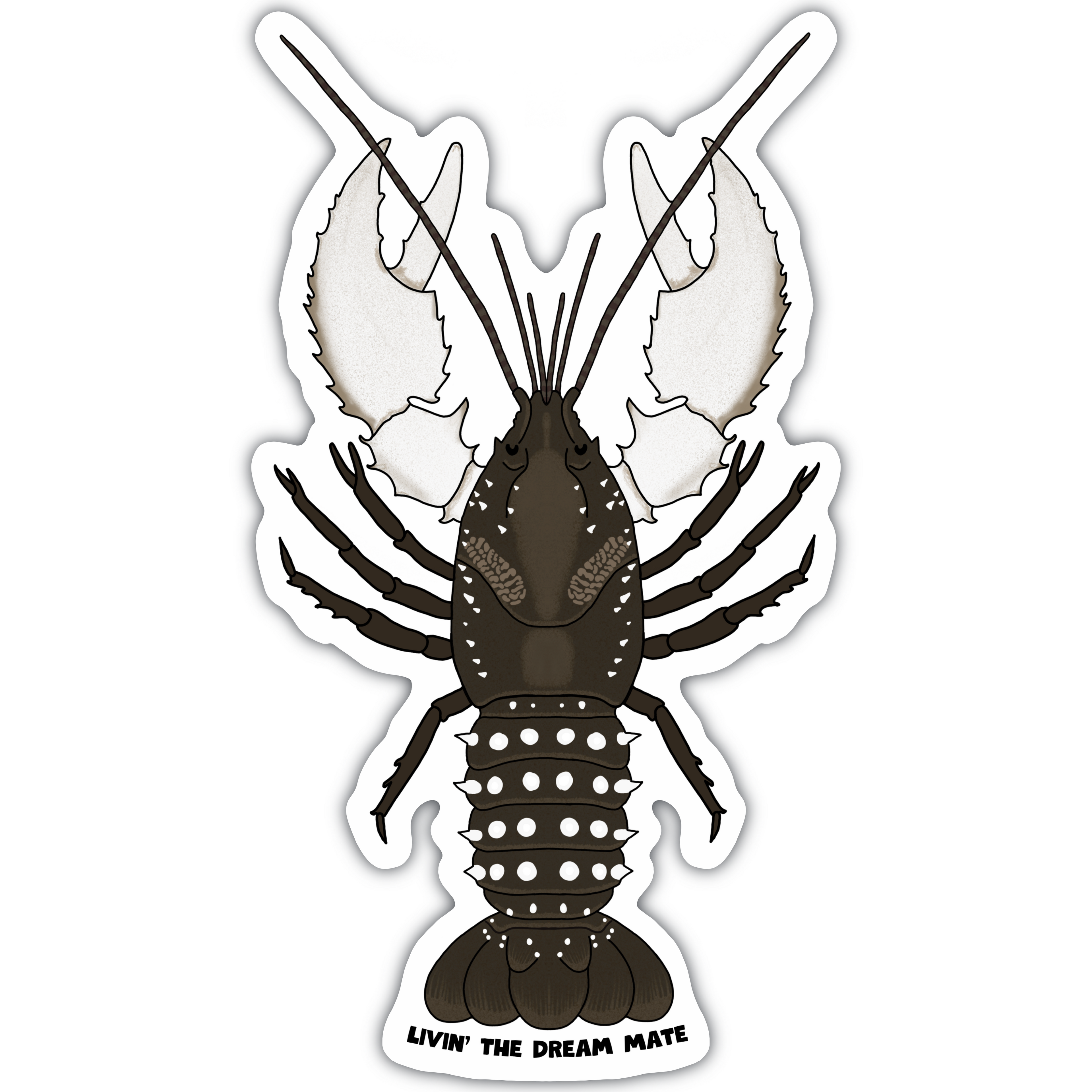KING OF THE MURRAY Sticker